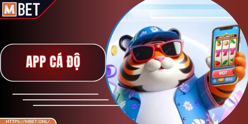 App Cá Độ Mbet - Cược Kèo Thông Minh, Thắng Tiền Cực Nhanh