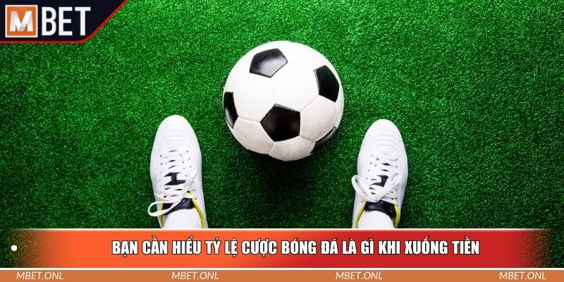 Bạn cần hiểu tỷ lệ cược bóng đá là gì khi xuống tiền