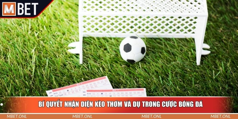 Bí quyết nhận diện kèo thơm và dụ trong cược bóng đá