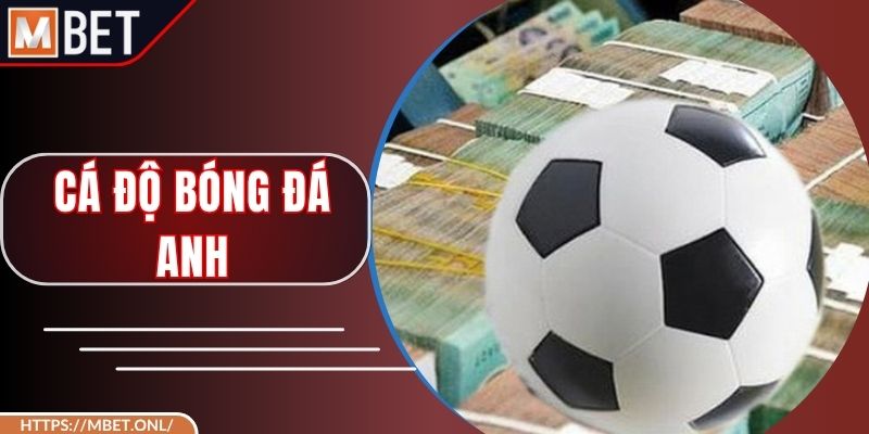 Cá Độ Bóng Đá Anh - Nghiên Cứu Đặt Tiền Cho Giải Đấu