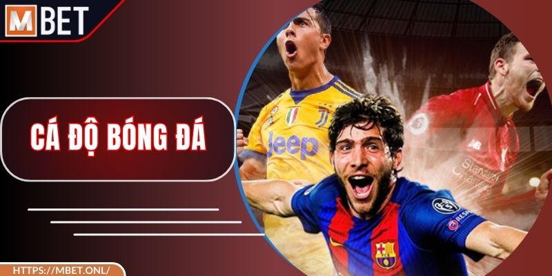 Cá Độ Bóng Đá An Toàn, Uy Tín Hàng Đầu Tại Nhà Cái Mbet
