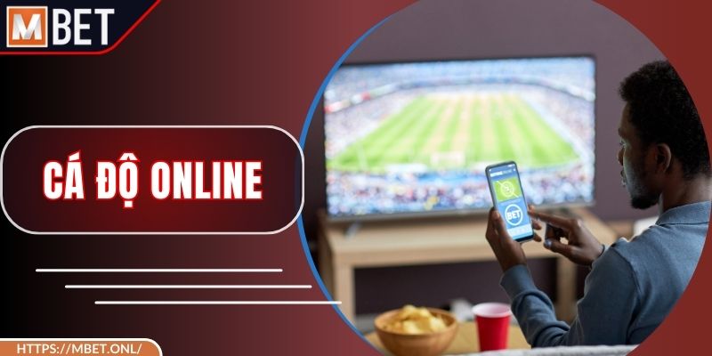 Cá Độ Online – Nắm Bắt Cơ Hội Để Thắng Lớn Mỗi Ngày