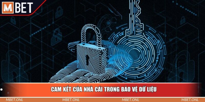 Cam kết của nhà cái trong bảo vệ dữ liệu