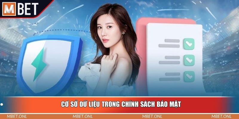 Cơ sở dữ liệu trong chính sách bảo mật