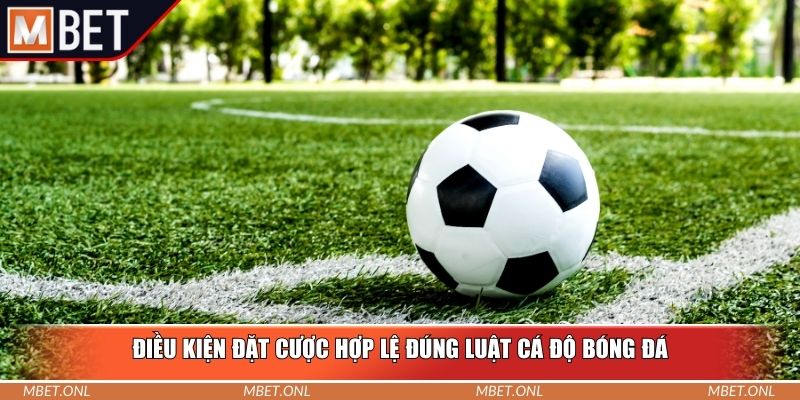 Điều kiện đặt cược hợp lệ đúng luật cá độ bóng đá