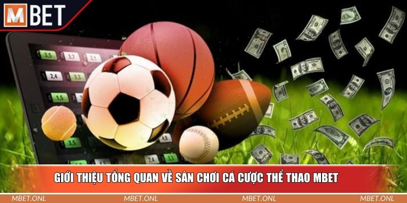 Giới thiệu tổng quan về sân chơi cá cược thể thao Mbet
