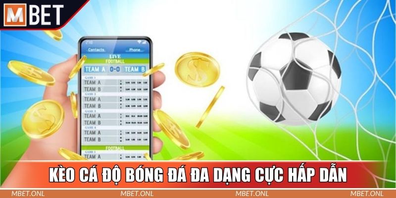 Kèo cá độ bóng đá đa dạng cực hấp dẫn