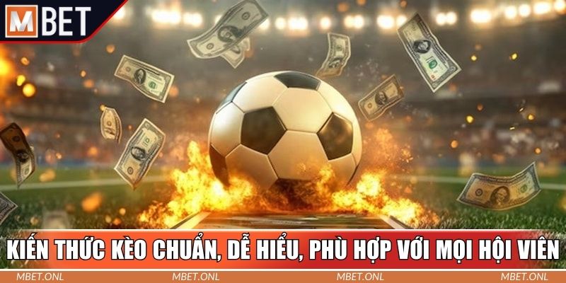 Kiến thức kèo chuẩn, dễ hiểu, phù hợp với mọi hội viên