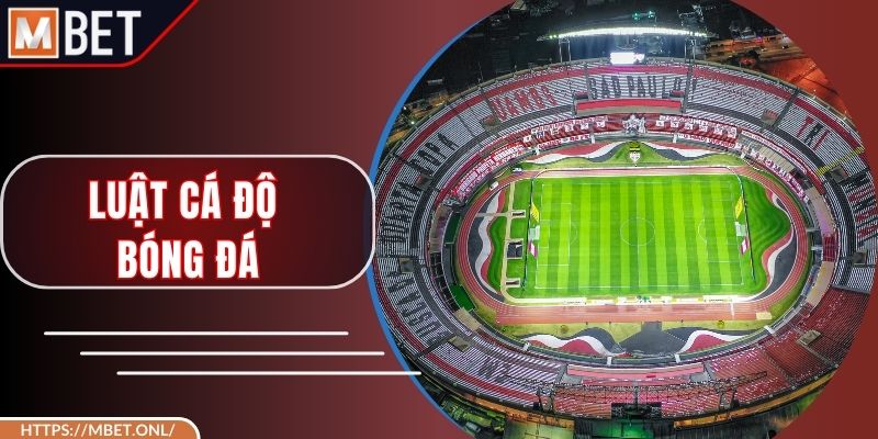 Luật Cá Độ Bóng Đá – Nắm Vững Trước Khi Xuống Tiền