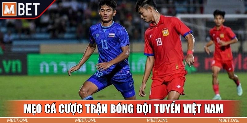 Mẹo cá cược trận bóng đội tuyển Việt Nam