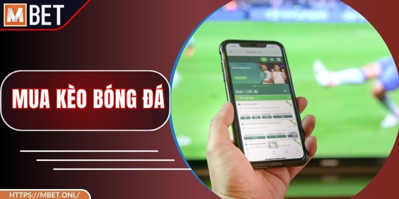 Mua Kèo Bóng Đá Hiệu Quả - Bí Kíp Xuống Tiền Đúng Chỗ