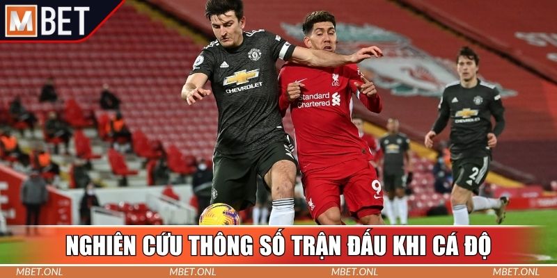 Nghiên cứu thông số trận đấu khi cá độ