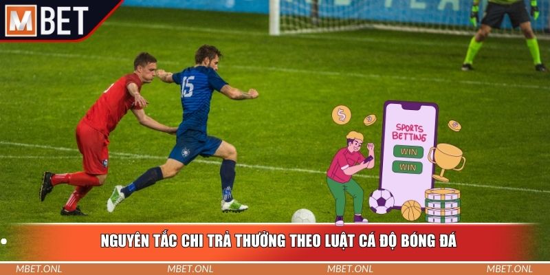 Nguyên tắc chi trả thưởng theo luật cá độ bóng đá