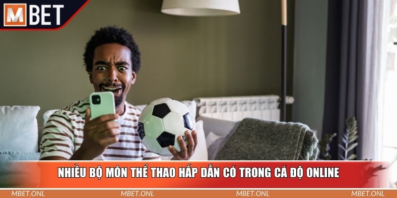 Nhiều bộ môn thể thao hấp dẫn có trong cá độ online