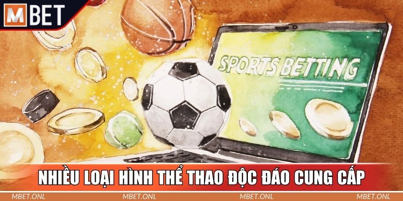 Nhiều loại hình thể thao độc đáo cung cấp