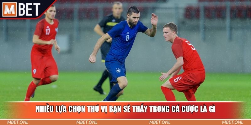 Nhiều lựa chọn thú vị bạn sẽ thấy trong cá cược là gì