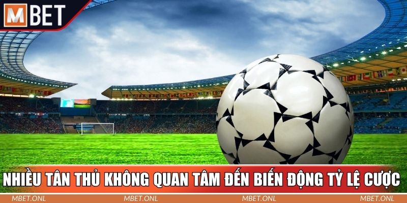 Nhiều tân thủ không quan tâm đến biến động tỷ lệ cược