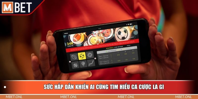 Sức hấp dẫn khiến ai cũng tìm hiểu cá cược là gì