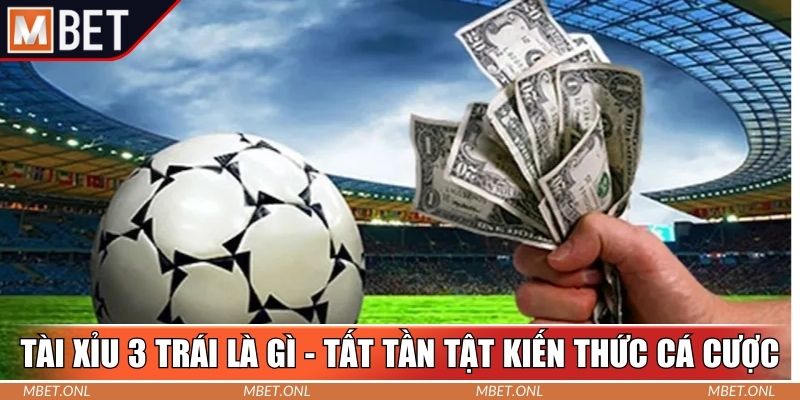 Tài xỉu 3 trái là gì - Tất tần tật kiến thức cá cược