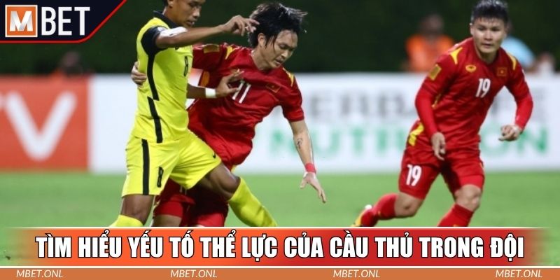 Tìm hiểu yếu tố thể lực của cầu thủ trong đội