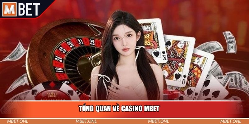 Tổng quan về casino Mbet