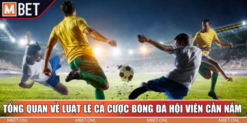 Tổng quan về luật lệ cá cược bóng đá hội viên cần nắm