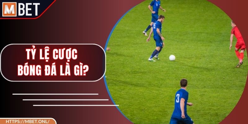 Kết Quả Keno – Chìa Khóa Mở Đường Tới Giải Thưởng Giá Trị