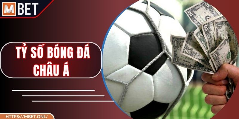 Tỷ Số Bóng Đá Châu Á - Nghiên Cứu Thông Tin Đặt Kèo